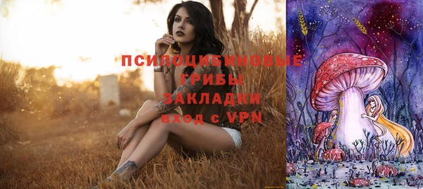 стафф Няндома