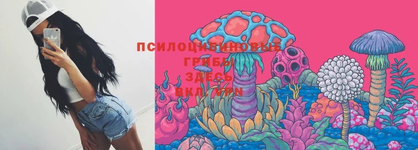 стафф Няндома